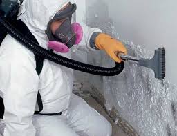 Best Residential Mold Inspection & Testing in La Grange, KY